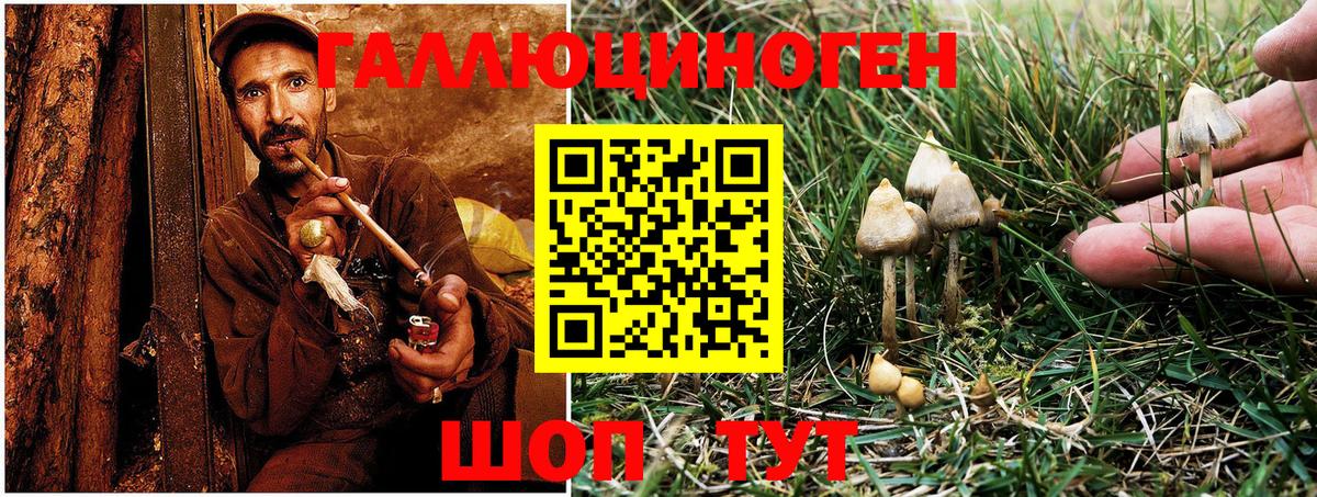 Псилоцибиновые грибы Magic Shrooms Чусовой